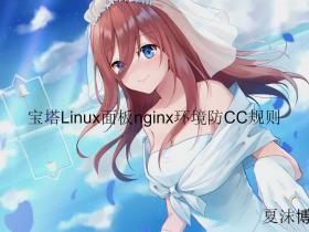 宝塔Linux面板nginx环境防止cc规则