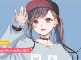 WordPress后台显示No input file specified.解决方案